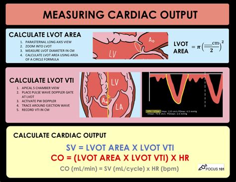 Cardiac Output Calculator. How to Think about Cardiac Output. Machine and Patient Preparation for Exam. Step by Step Guide to Cardiac Output Measurement. STEP 1: Get the Parasternal Long Axis View. STEP 2: Measure LVOT Diameter. STEP 3: Get the Apical 5-Chamber View. STEP 4: Place PW Doppler Gate at LVOT.